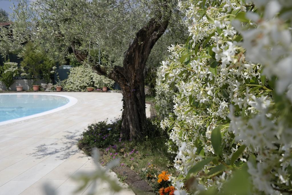 Campeggio Delle Rose Moniga del Garda Eksteriør billede